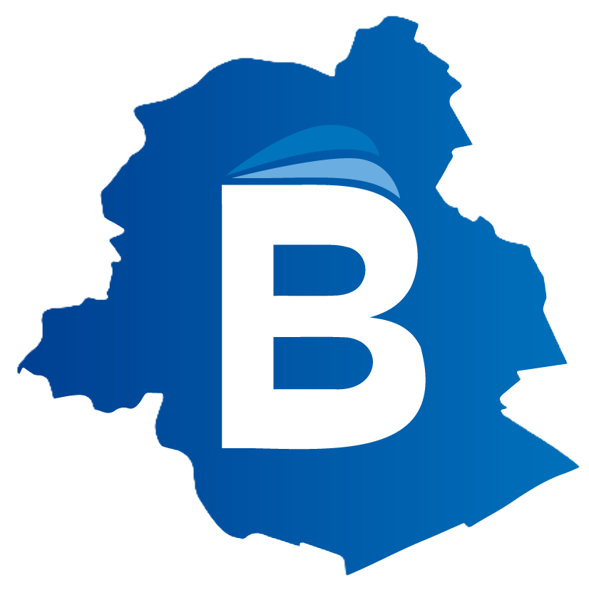 Logo Bruxelles